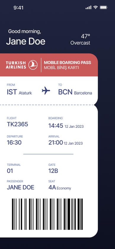 iOS boarding pass concept