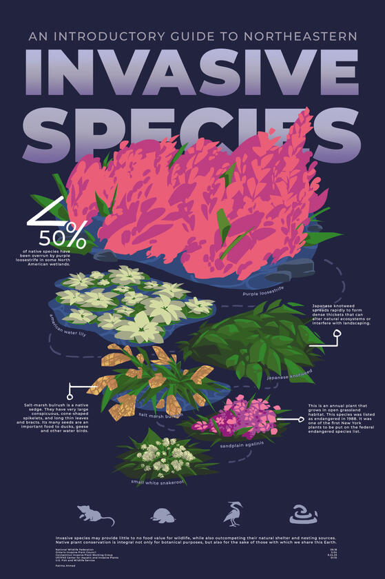Invasive species infographic